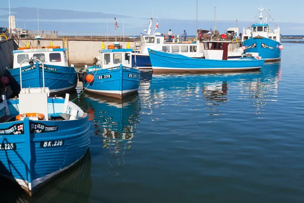 Typiska blå fiskebåtar i Seahouses harbor — Stockfoto