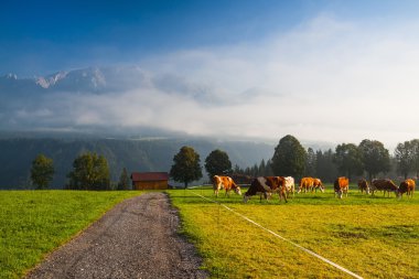 mera üzerinde sabah sis içinde