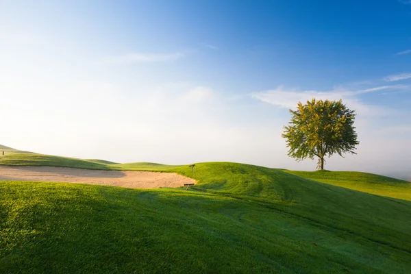 Nebliger Morgen auf einem leeren Golfplatz — Stockfoto