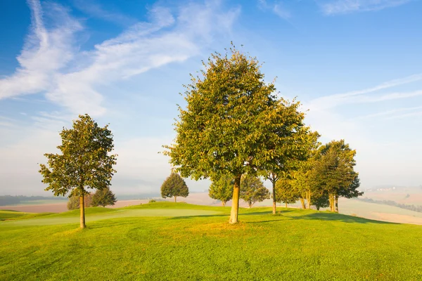 Mistige ochtend op een lege golfbaan — Stockfoto