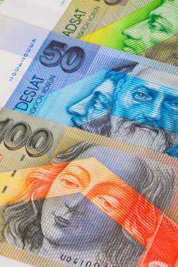 Masanın üzerinde farklı Slovakça banknotlar