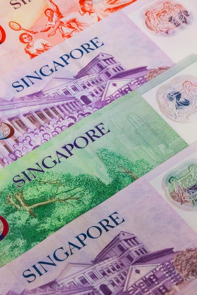 Различные банкноты из Сингапура на столе — стоковое фото