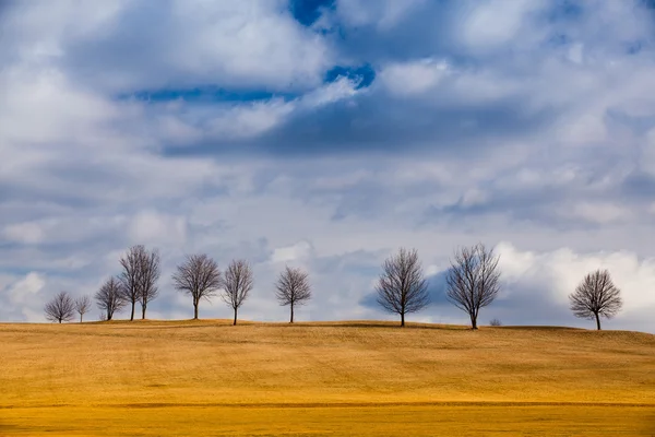 Bir golf sahası üzerinde sonbahar sahne — Stok fotoğraf