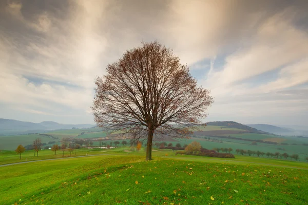 Осінні пейзажі на полі для гольфу — стокове фото