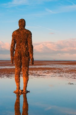 Spectacular sculptures are on Crosby beach. clipart
