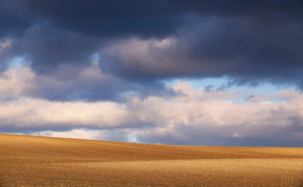 Tramonto sul campo primaverile — Foto Stock