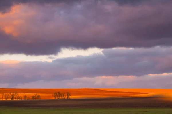 Zonsondergang op de lente-veld — Stockfoto