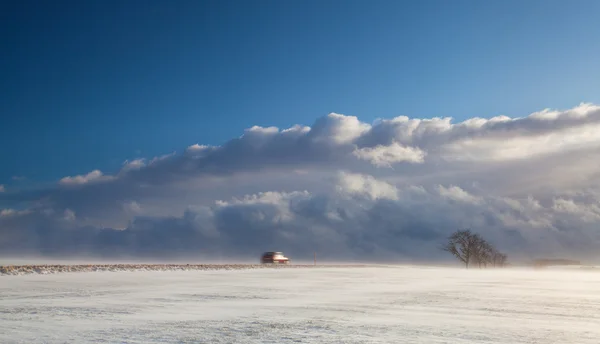 Lonely red car in a snowstorm — Stock Photo, Image