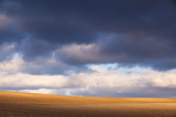 Tramonto sul campo primaverile — Foto Stock