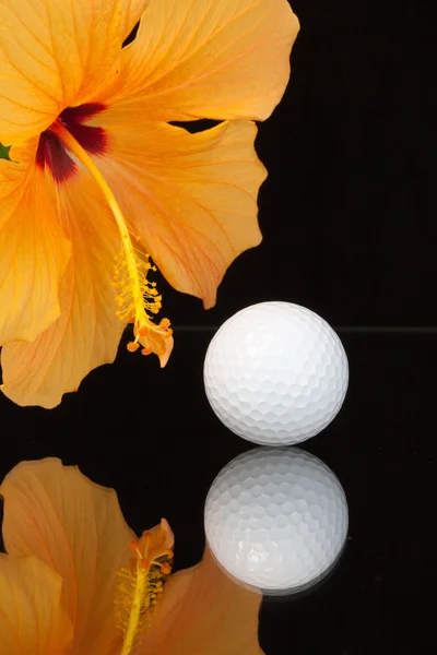 Orange hibiscus flower  and golf equipments on the glass table — Stock Photo, Image