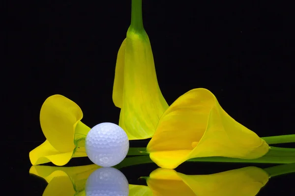 Lirio amarillo calla y pelota de golf en una placa de vidrio negro — Foto de Stock