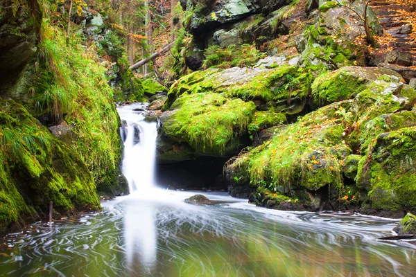 Doubravka river i höst — Stockfoto