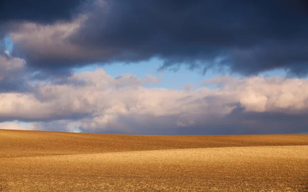 Zonsondergang op de lente-veld — Stockfoto