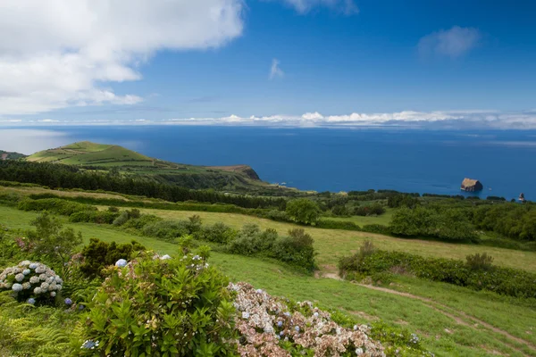 Paysage volcanique typique sur l'île de Terceira — Photo