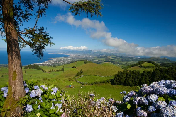 Landscapen na sao miguel — Stock fotografie