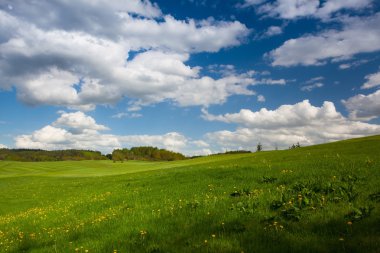 Bahar boş golf sahasında 