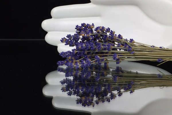 Mano de cerámica y ramo de flores de lavanda —  Fotos de Stock