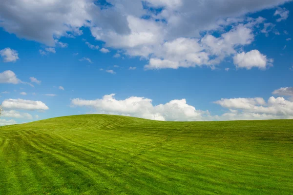 Num campo de golfe vazio na Primavera — Fotografia de Stock