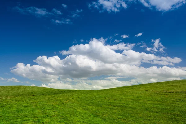 Auf einem leeren Golfplatz im Frühling — Stockfoto