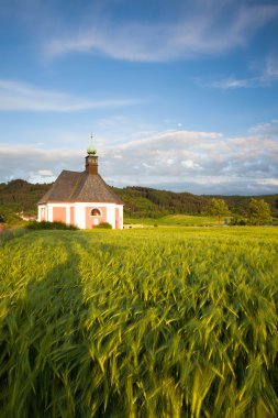 Bir mısır tarlası kenarında yenilenmiş Kilisesi 