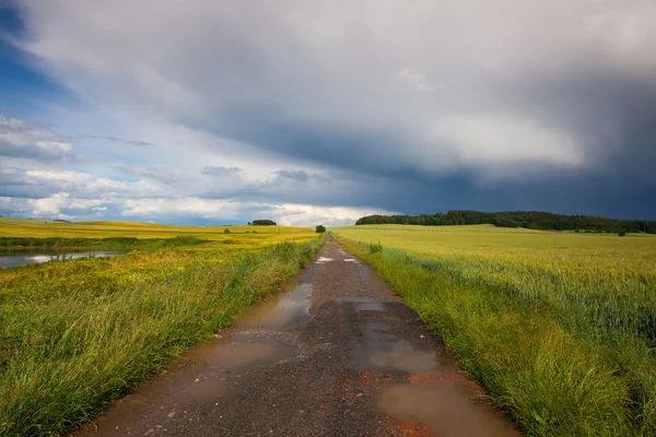 Порожня дорога і пейзаж після сильної бурі — стокове фото