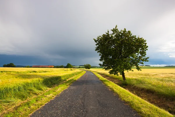 Empty road and landscape after heavy storm — Φωτογραφία Αρχείου