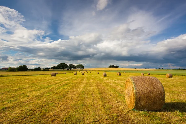 Paisaje de verano después de una tormenta —  Fotos de Stock