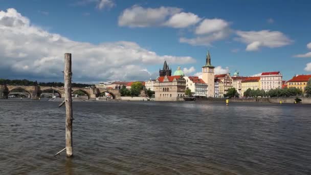 Kilátás Strelecky szigetén a Károly-híd — Stock videók