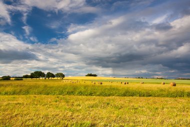 Yaz manzara sonra bir fırtına