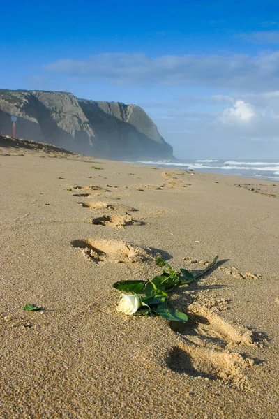 흰색 장미와 포르투갈에서 해변에 모래에 있는 발자국 — 스톡 사진