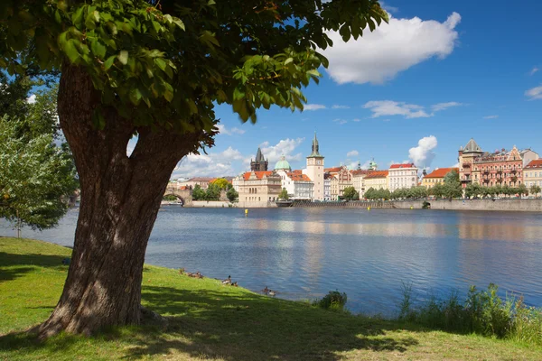 Blick von der Strelecky Island auf die Karlsbrücke in Prag Stockbild