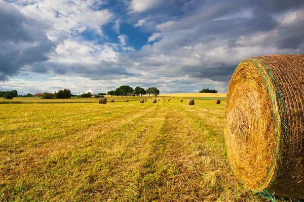 Nyári táj egy vihar után — Stock Fotó