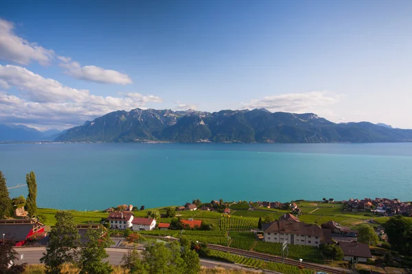 Wijngaarden van de Chexbres regio over meer van Genève — Stockfoto