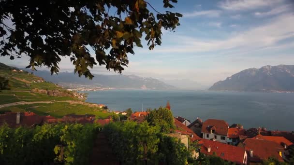 Leman Gölü (Cenevre Gölü), İsviçre üzerinden Lavaux bölgesinin üzüm bağları — Stok video