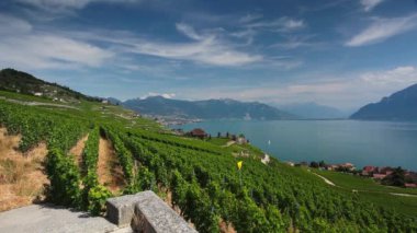 Leman Gölü (Cenevre Gölü), İsviçre üzerinden Lavaux bölgesinin üzüm bağları