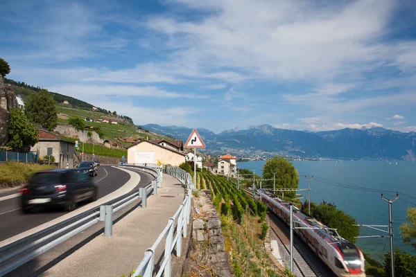 Wijngaarden in de buurt van het station van het Lavaux-gebied, Switzerl — Stockfoto