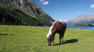Mera üzerinde göl Sils yakınındaki.