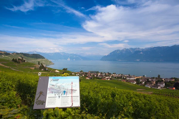 Wijngaarden van het Lavaux-gebied over meer Leman — Stockfoto