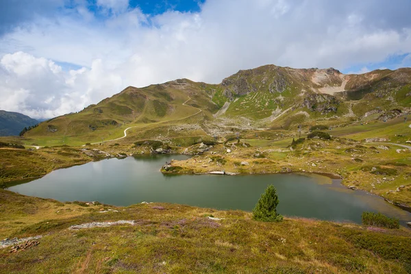 Літній краєвид від Обертауерн гірськолижного курорту в Австрії — стокове фото