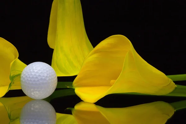 Yellow calla lily and golf ball on a black glass plate — Stock Photo, Image