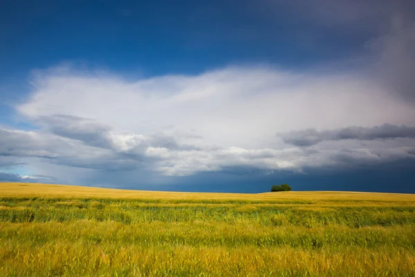 Harvest time and summer landscape after storm — Stock Photo, Image