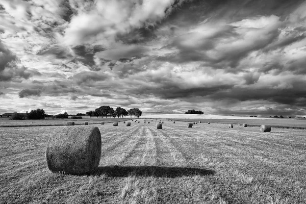 Summer landscape after a storm — Stock Photo, Image