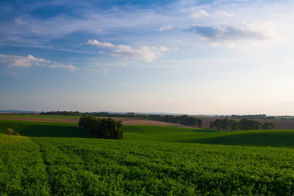 Krajina na Moravě při západu slunce — Stock fotografie