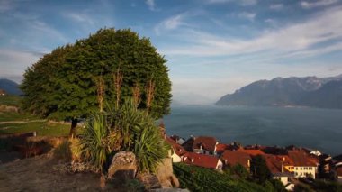 Leman Gölü üzerinden Lavaux bölgesinin üzüm bağları
