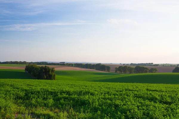 Úžasná krajina na Moravě — Stock fotografie