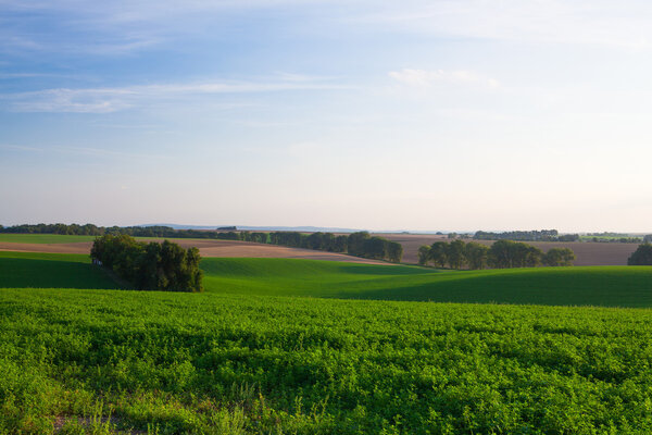 Amazing landscape in Moravia