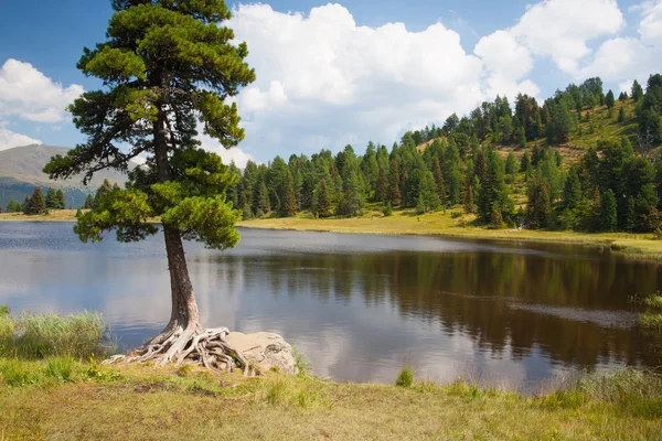 Black Lake in Austria — Stock Photo, Image