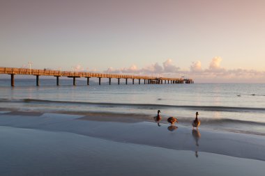 Binz, Rügen adası iskelede gündoğumu