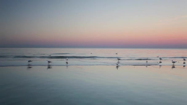 Salida del sol en la playa — Vídeo de stock