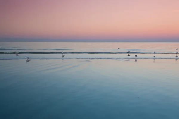 寒冷的早晨，在波罗的海 — 图库照片